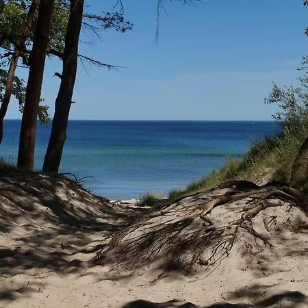 Dream Polanki - Sauna & Bicycle & Bicycle 아파트 *