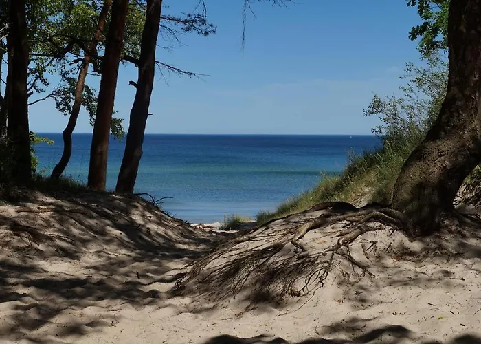 Dream Polanki - Sauna & Bicycle & Bicycle Apartamento *